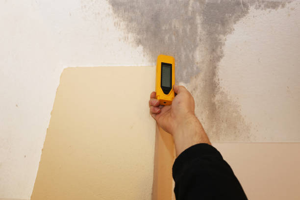 Professional Mold Inspection, Removal & Remediation in Upton, WY